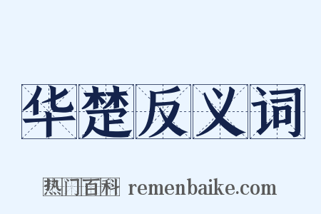 华楚反义词是什么意思的图片